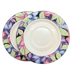 2 Vitromaster 6 3/8" Saucer Plates Stoneware 1993 Morning Glory Pattern